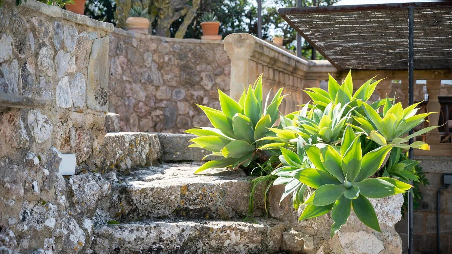 Pou Dels Escarabats Villa Pollenca